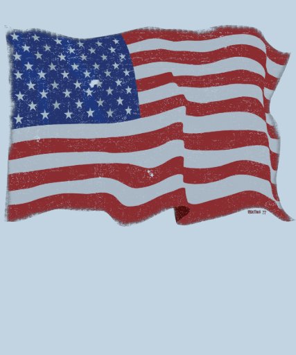 Vintage American Flag Tshirt