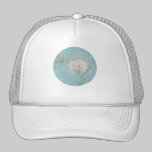 Vintage Anarctic Globe Shirts hats