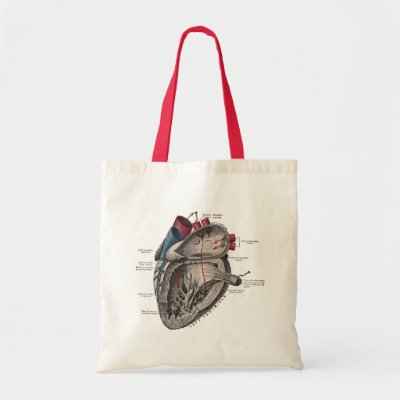 Vintage Anatomical Heart Diagram Canvas Bag