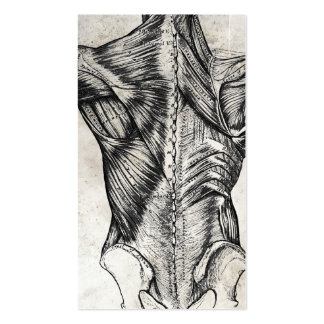 Vintage Anatomy Back Business Cards