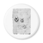 Vintage anatomy drawing of a fetus magnets