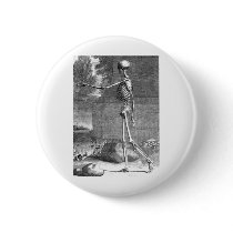 Vintage anatomy drawing, side view, skeleton buttons