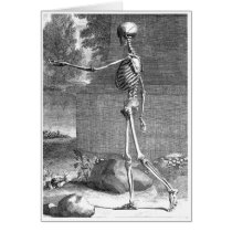 Vintage anatomy drawing, side view, skeleton greeting cards