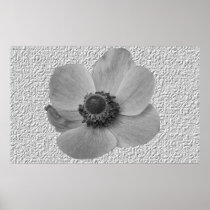 Vintage Anemone Flower Print