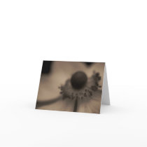 Vintage Anemone Greetings & Note Card by Eseffpe Vintage Anemone Greetings & Note Card