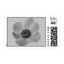 Vintage Anemone US Postage Stamp