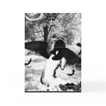 Vintage Angel ver. Black & White cards by kawaii Vintage Angel ver. Black & White cards