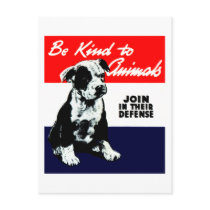 Vintage Animal Kindness Poster Postcards