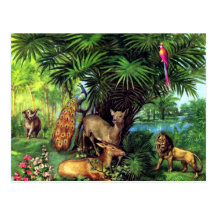 Vintage Animals Postcard