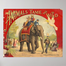 Vintage Animals Tame & Wild Poster