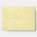 Back (Top Flap)