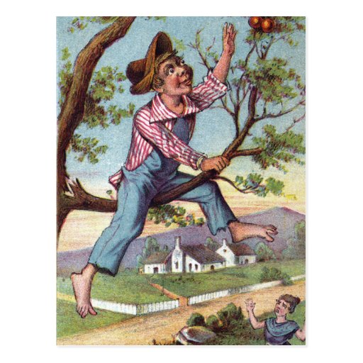 Vintage Apple Picking Postcard | Zazzle