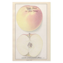 Vintage Apple Stationery by Customizables Vintage Apple Stationery