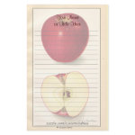 Teacher Stationery