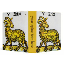Vintage Aries binders
