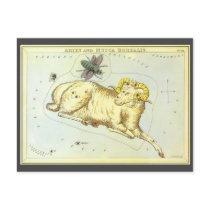 Vintage Aries postcards