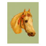 Vintage Art Horse Head Drawing Postcard