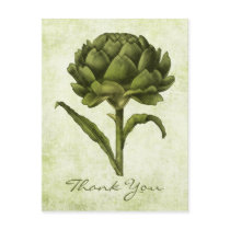 Vintage Artichoke Postcard