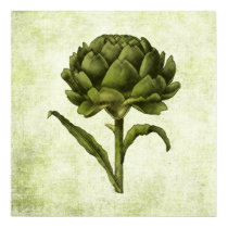 Vintage Artichoke Poster posters