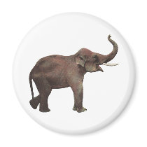 Vintage Asian Elephant Fridge Magnet