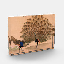 Vintage Asian Peacock Award