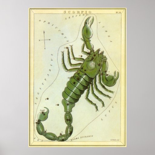 Vintage Astrology Scorpio Constellation Zodiac Posters