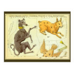 Vintage Astronomy, Celestial Map Star Chart in Sky Post Card