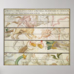 Vintage Astronomy Celestial Map Zodiacus Stellatus Posters