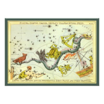 Vintage Astronomy, Hydra Snake Constellation Stars Invitations