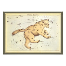 Vintage Astronomy, Ursa Major Constellation, Bear Custom Invite