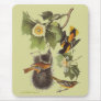 Vintage Audubon Birds Troupial Orioles usepad