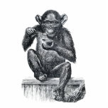 Vintage Baby Chimpanzee Drawing Acrylic Cut Outs