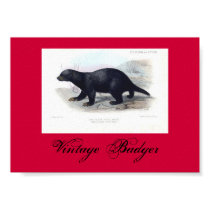 Vintage BadgerIllustration  Poster (Red)