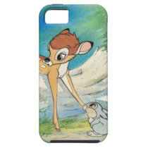 Vintage Bambi and Thumper casemate cases
