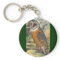 Vintage Barn Owl Painting Keychains