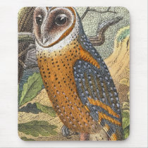 Vintage Barn Owl Painting Mouse Pad