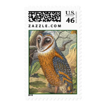 Vintage Barn Owl Painting Postage