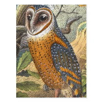 Vintage Barn Owl Painting postcards