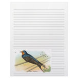 Vintage Barn Swallow Lined Letterhead