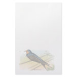 Vintage Barn Swallow Stationery