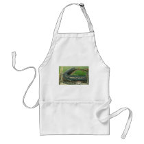 Vintage Baseball Stadium From Above Aprons
