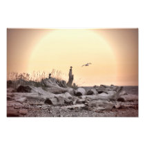 Vintage Beach Scene Art Photo