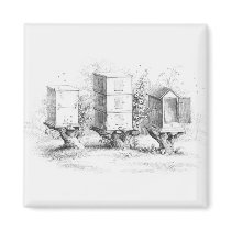Vintage Bee Boxes Honey Fridge Magnet