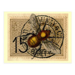 Vintage Bee Collage Postcard