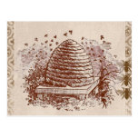 Vintage Beehive Beekeeping Post Cards