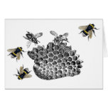 Vintage Bees Cards