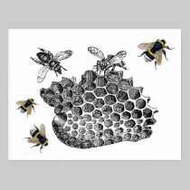Vintage Bees postcards