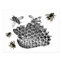 Vintage Bees Post Cards