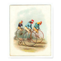Vintage Bicycle Poster posters