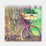 Vintage Bicycle with Flower Basket Fridge Magnets